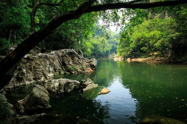 Crystal-clear river flowing through marble rock formations and tropical rainforest at Río Claro Nature Reserve, Colombia