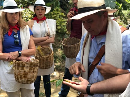 An experienced guide explains the quality of the coffee bean before a tasting, an educational moment during a day trip from Medellín, Colombia.