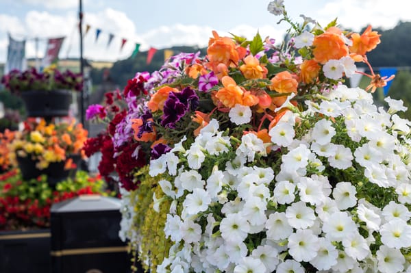 A close-up of a vibrant floral arrangement, showcasing the beautiful blooms that are a key reason why the Festival of Flowers is celebrated in Colombia.