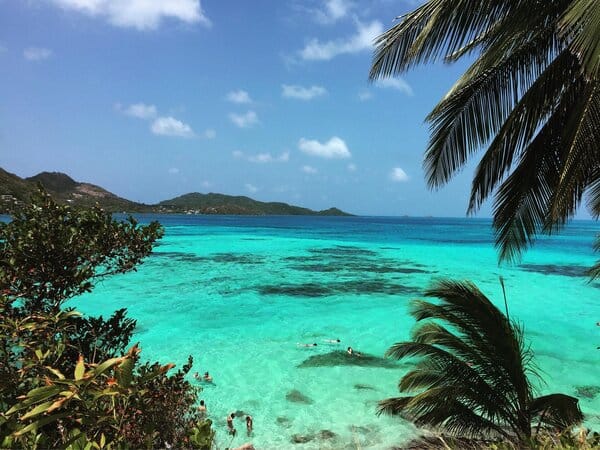 Crystal-clear turquoise water viewed through a palm tree leaf on one of the serene Caribbean Colombian islands called Providencia island.