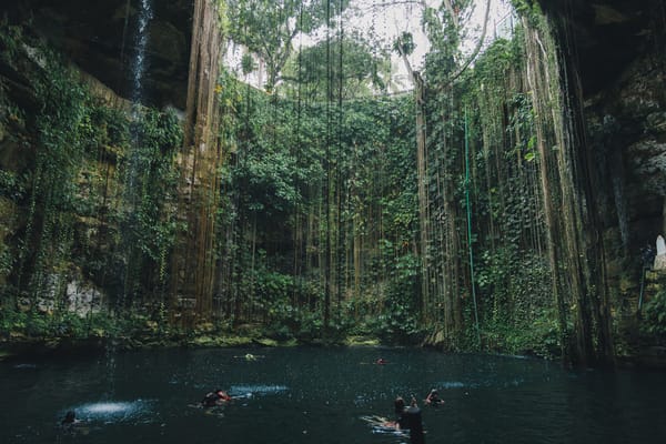 People swimming in a beautiful but dark jungle cenote, a setting where travelers might wonder about the potential for dangerous animals in colombia lurking in the water or surrounding foliage.
