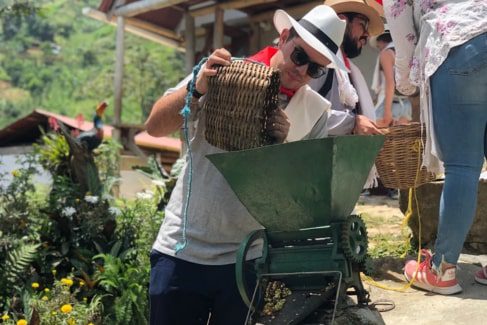 Tour participants learn the 'bean-to-cup' process and help de-pulp the coffee cherries – a hands-on experience on one of the best day trips from Medellín.