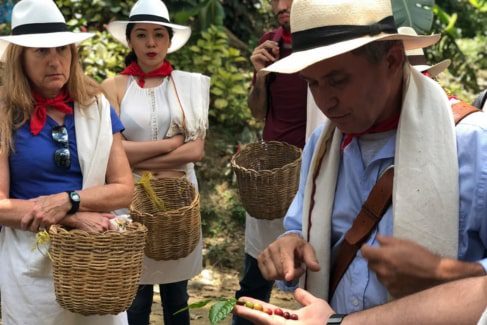 An experienced guide explains the quality of the coffee bean before a tasting, an educational moment during a day trip from Medellín, Colombia.